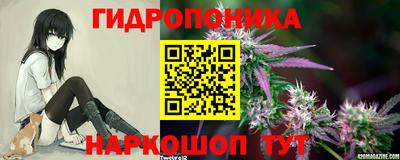 индика Рязань