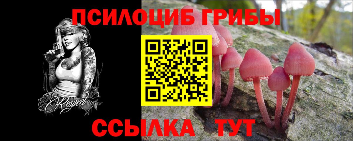 Энгельс  Псилоцибиновые грибы Psilocybe  Вход с VPN 