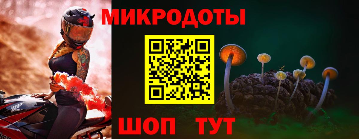Галлюциногенные грибы Cubensis Энгельс